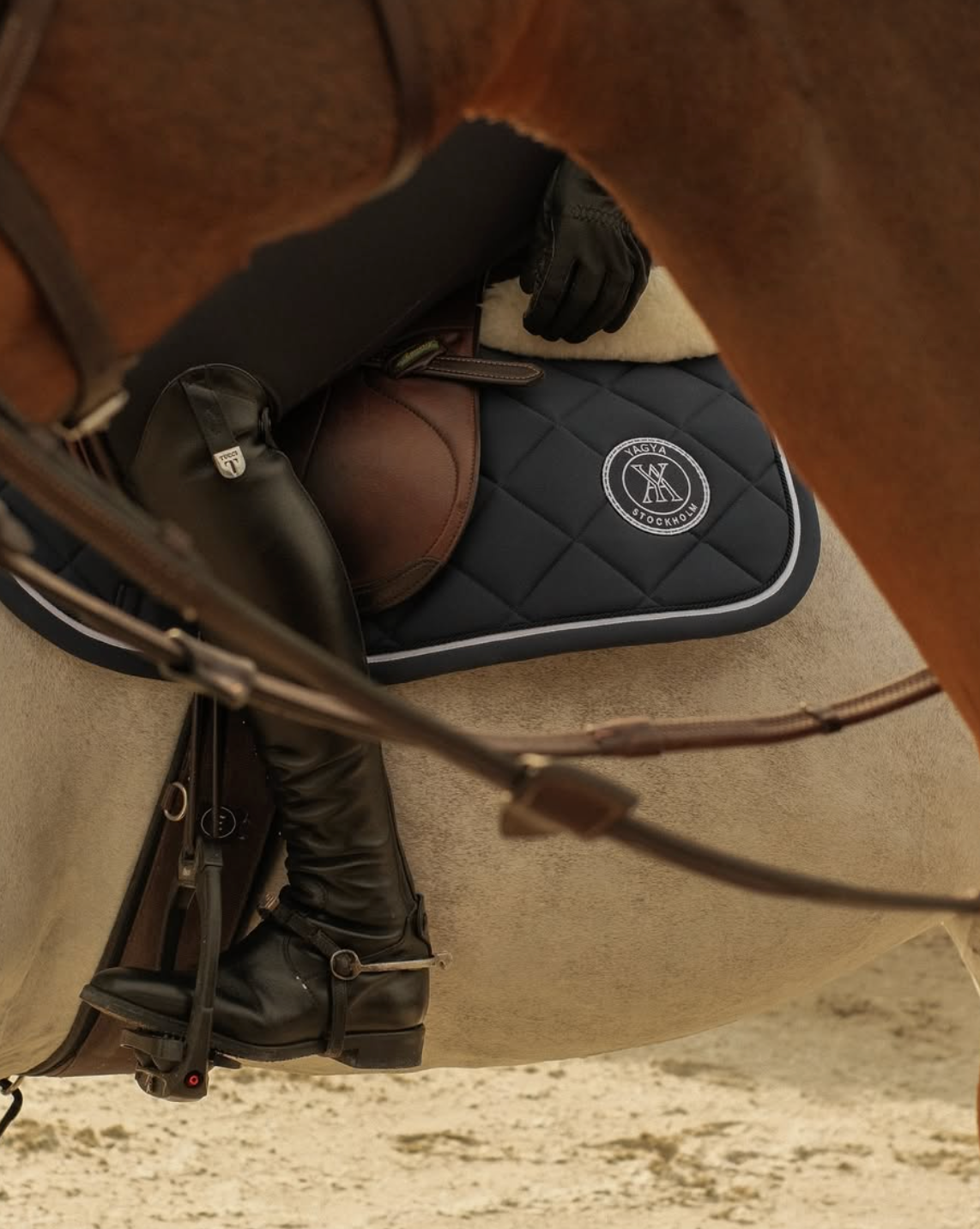 Welcome to Orvella Equestrian