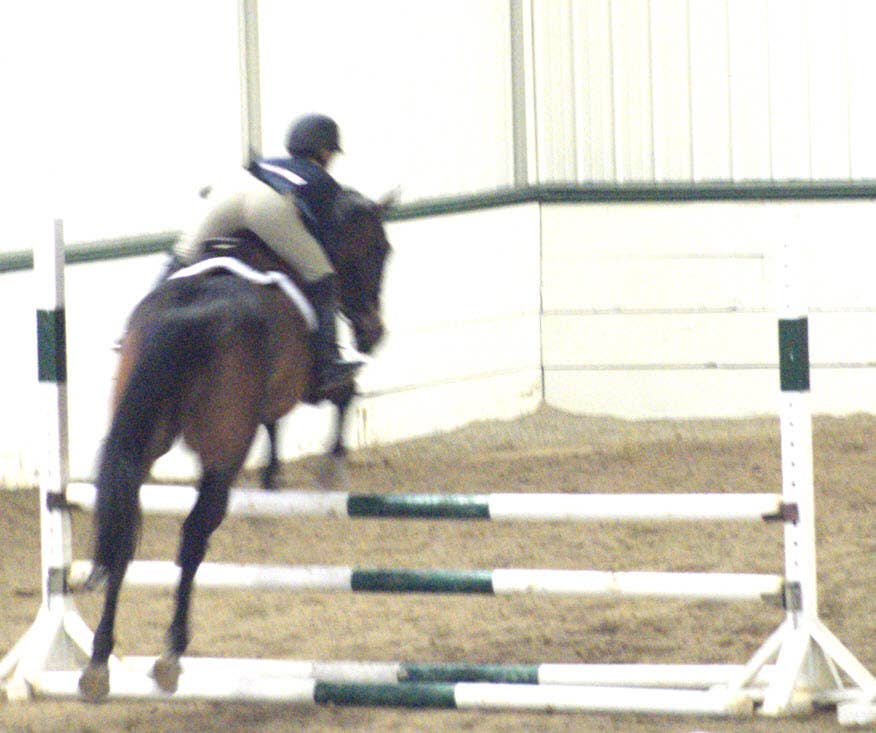 nan - The Infused Equestrian - nan