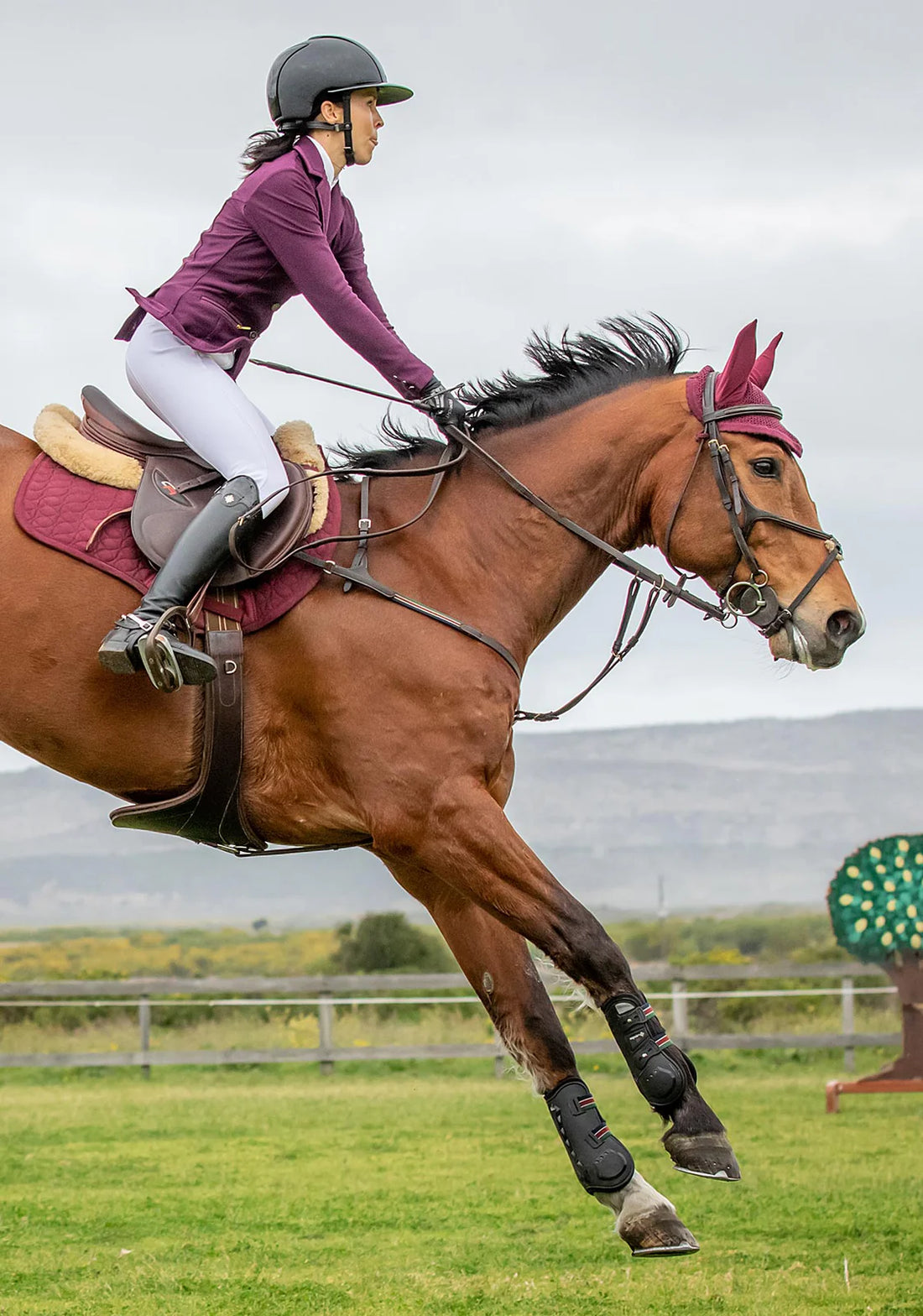 Plum | Ladies Mesh Show Jacket, mesh show jacket on a rider jumping a fence