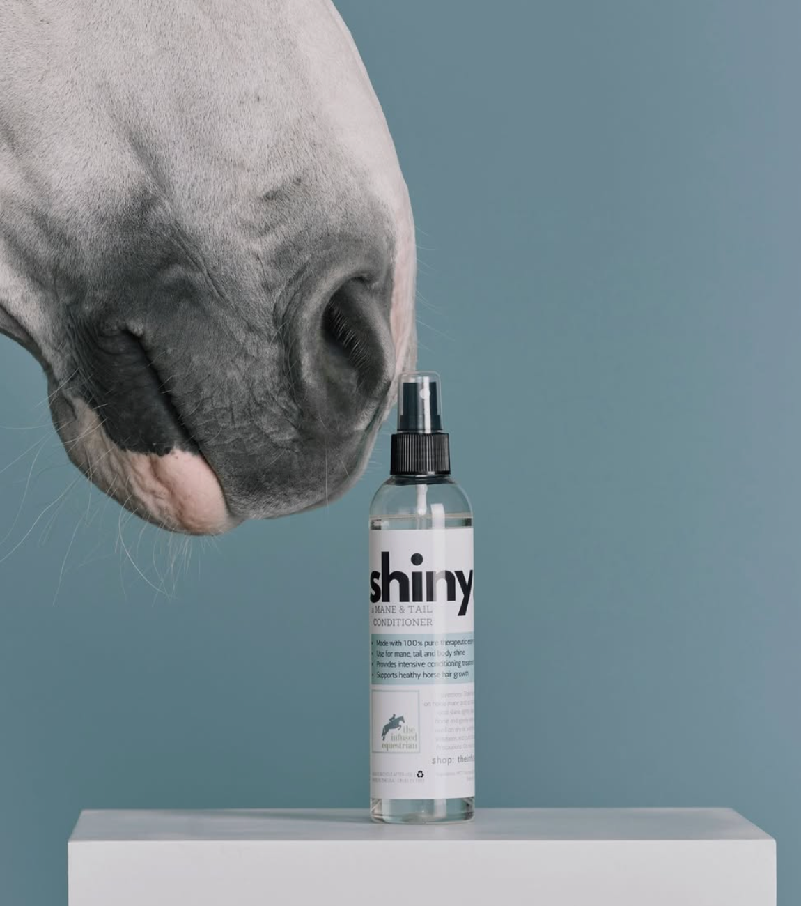 The Infused Equestrian